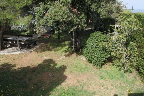 Apartment Zdrelac 8514a