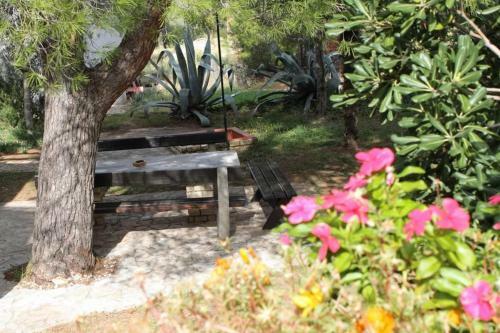 Apartment Zdrelac 8514a