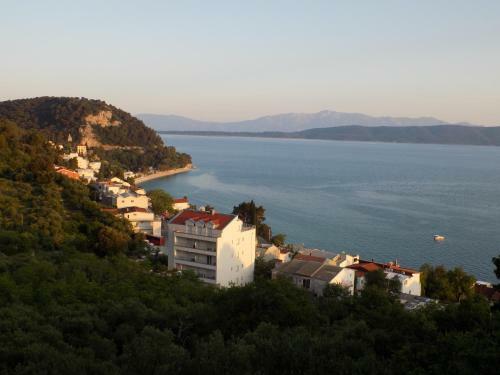 Hostal Borovik Guest House