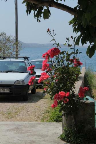 Apartment Metajna 6466a