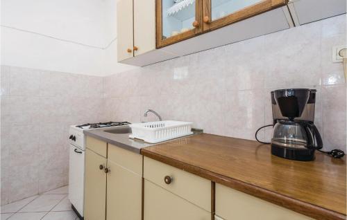 Apartment Metajna IV