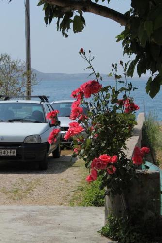 Apartment Metajna 6466d