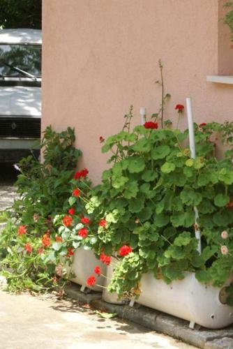 Apartamentos Studio Zuljana 4576b