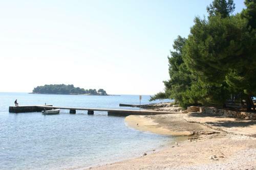 Apartment In Rovinj/istrien 11571