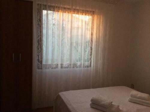 Apartment Zmisa