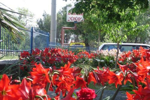Apartments Cico Starigrad Paklenica
