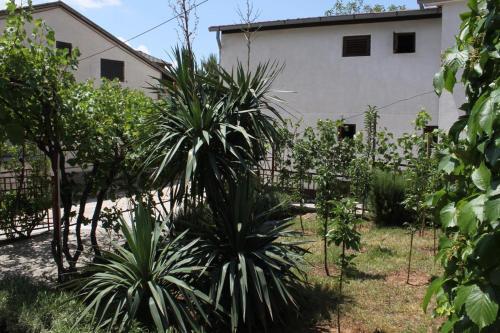 Apartamentos Studio Starigrad 6431a