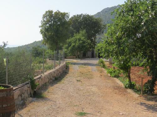 Holiday Home Milovici