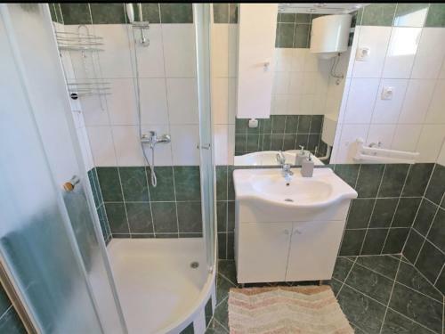 Apartment Mirjana.3