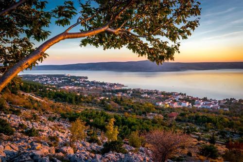 Apartment In Starigrad-paklenica 6850