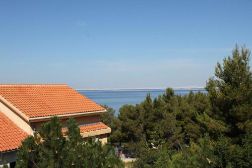 Apartamentos Studio Starigrad 6621c