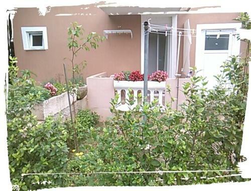 Apartments Lana