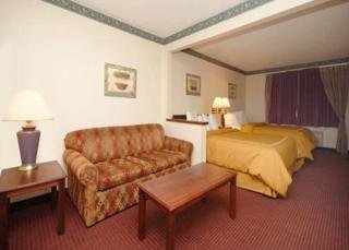 Hotel Comfort Suites North/galleria