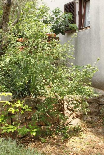 Apartment Starigrad 6626b