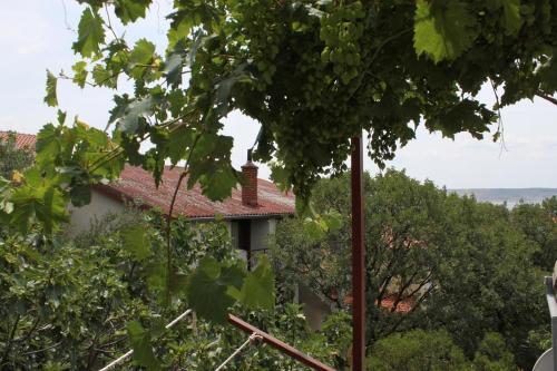 Apartments By The Sea Starigrad (Paklenica) - 6626