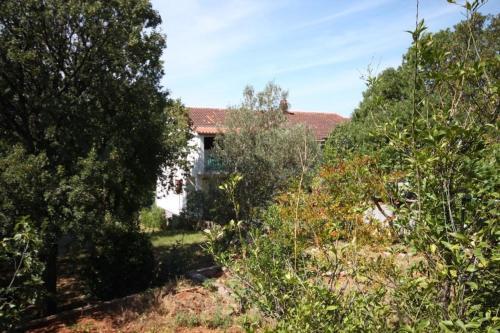 Apartment Starigrad 6575c