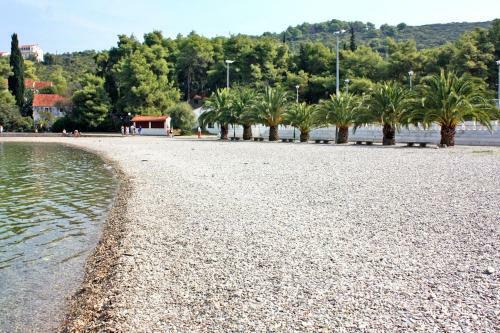 Apartments With Wifi Necujam (solta) - 12500