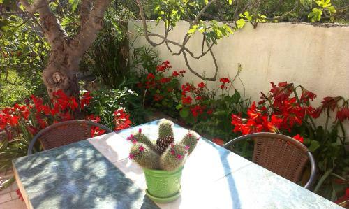 Hostal Guest House Sucuraj
