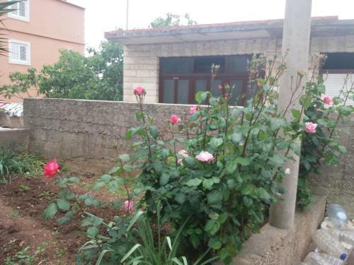 Apartment Sucuraj 12887a