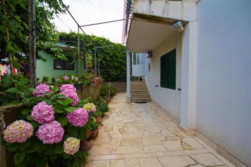 Apartamentos Studio Sucuraj 566a