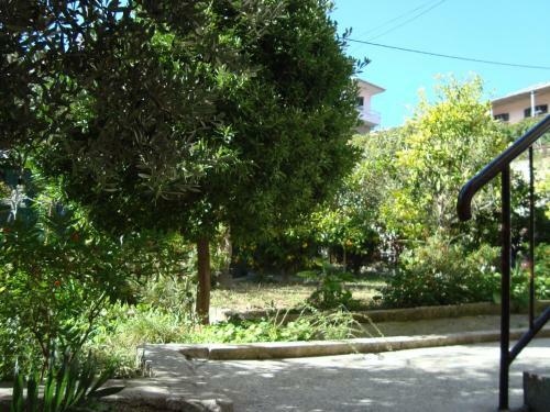Apartment Vedrana