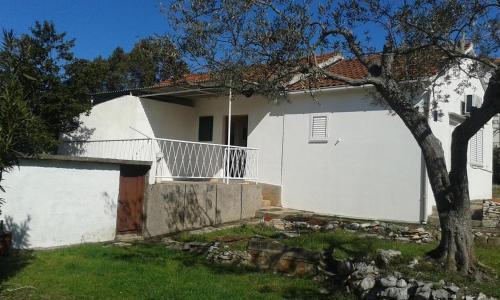 Holiday House With Wifi Supetar (brac) - 12323