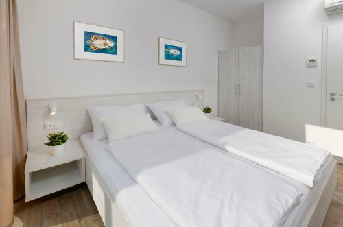 Apartamentos Zlatni Zalaz