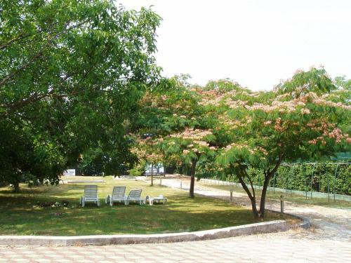 Apartamentos Studio Sveti Filip I Jakov 14319a