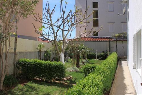 Apartment Nemira 4652a