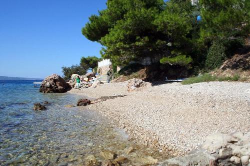 Apartment Stanici 4585a