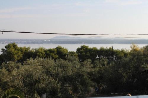 Apartments By The Sea Tkon (pasman) - 8395