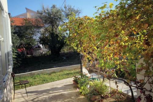 Apartments By The Sea Tkon (pasman) - 5840