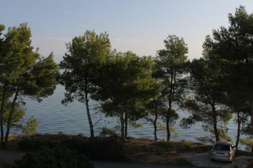 Apartments By The Sea Tkon (pasman) - 8454