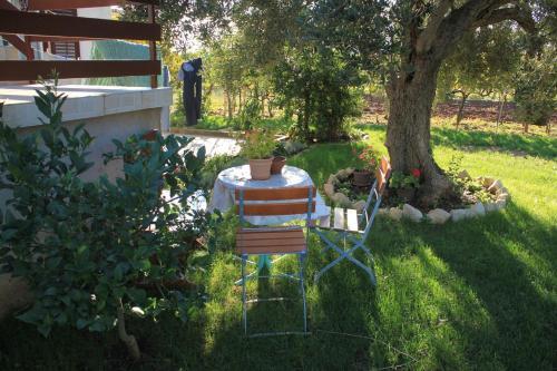 Apartments By The Sea Tkon (pasman) - 8410