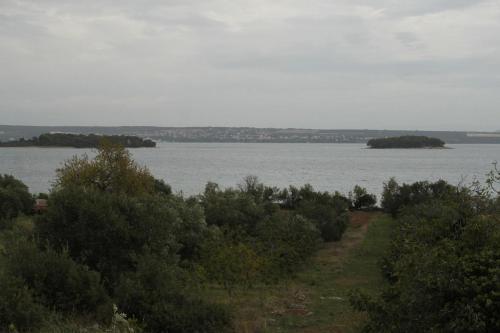 Apartment Tkon 8302b