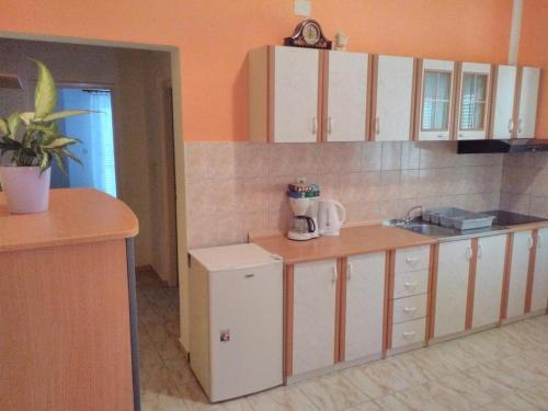 Apartments With A Parking Space Tribunj (Vodice) - 13319