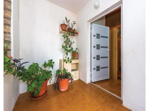 Two-bedroom Apartment In Tribunj