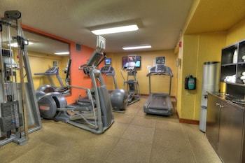 Hotel Holiday Inn Pigeon Forge