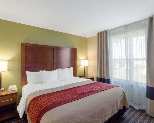Hotel Comfort Inn & Suites