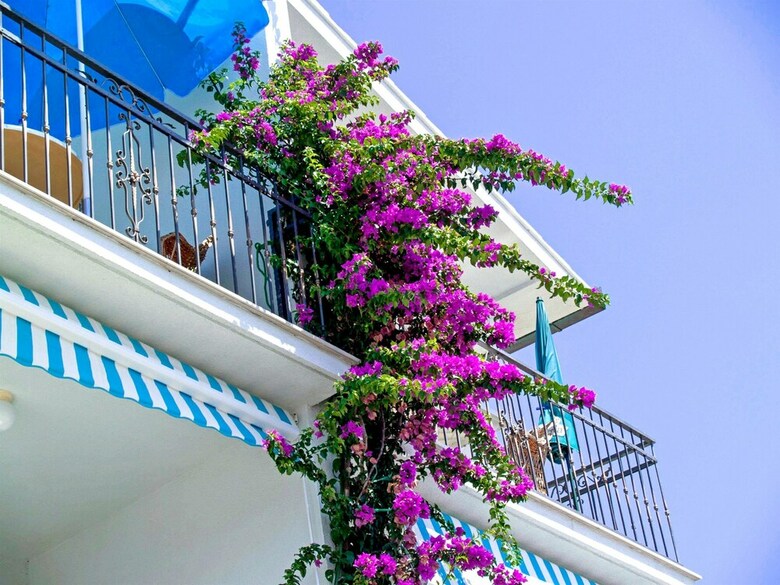 Apartments Jure