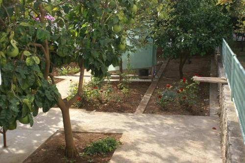 Apartamentos Studio Seget Vranjica 1036b