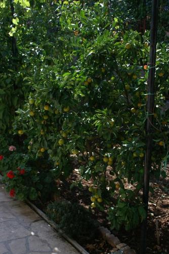 Apartment Seget Vranjica 4285b