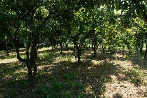 Hostal Double Room Trpanj 250a