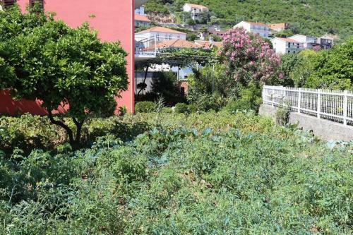 Apartment Trpanj 10148c