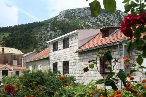 Apartamentos Studio Trstenik 4567a