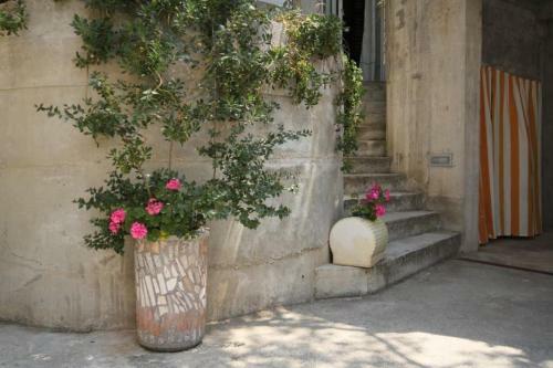 Apartment Tucepi 6656f