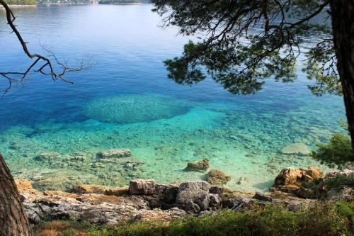 Apartments By The Sea Ubli (Lastovo) - 8355