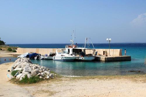 Apartment Susica 8467b