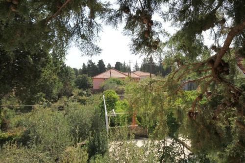 Apartment Ugljan 8241e