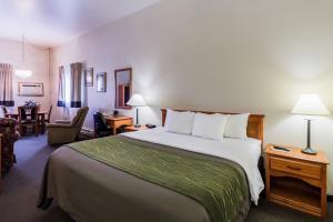 Hotel Comfort Inn